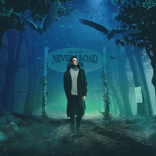 ALBUM: Witt Lowry - Nevers Road