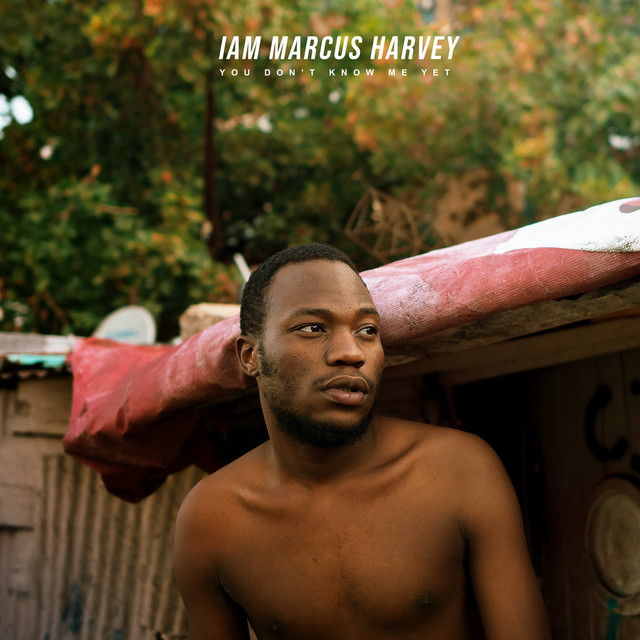 ALBUM: Marcus Harvey - I Am Marcus Harvey