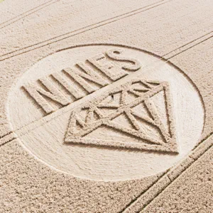 crop circle nines