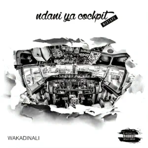 ndani ya cockpit wakadinali