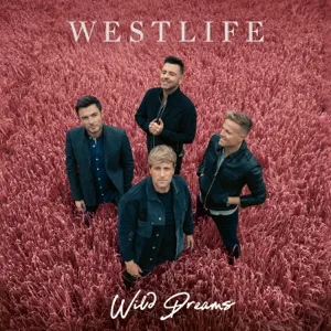 wild dreams westlife