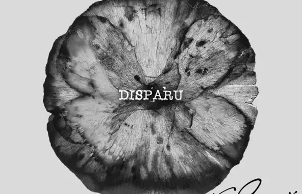 Disparu