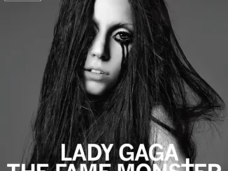 The Fame Monster