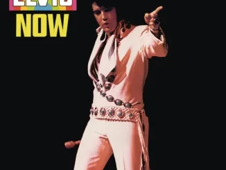 Elvis Now