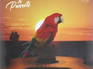 Zac Brown Band Pirates & Parrots (feat. Mac McAnally)