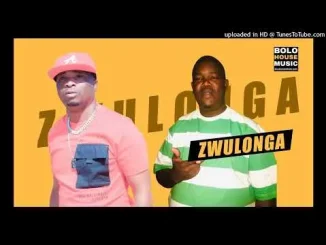 Matlou Matlou Zwulonga Feat. DJ Takie