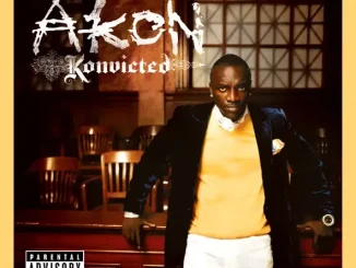 Akon Sorry, Blame It On Me