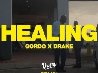 GORDO x Drake Healing