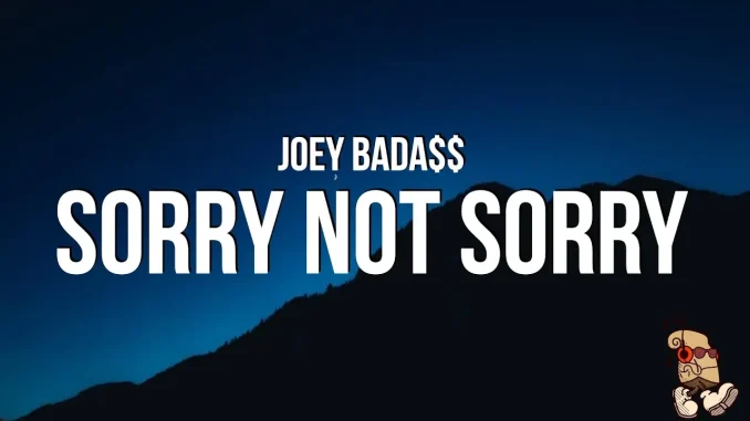 Joey Bada$$ Sorry Not Sorry