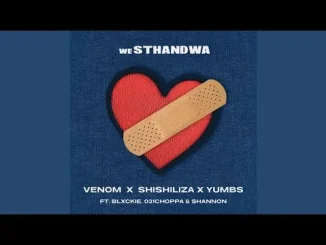 Venom, Shishiliza, Yumbs weSthandwa (Official Audio) feat. Blxckie, 031 Choppa, Shannon