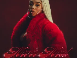 Anycia, GloRilla & KARRAHBOOO Never Need (feat. GloRilla & KARRAHBOOO)