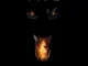 Busta Rhymes Dragon Season Equinox
