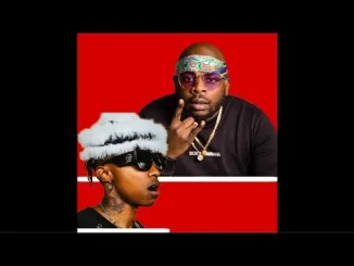 DJ Maphorisa, Scotts Maphuma, Xduppy & Mellow & Sleazy Kwaze kwa mnandi Soh ft. CowBoii & Al Xapo