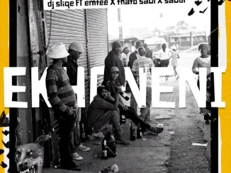 Ekhoneni (feat. Emtee, Thato Saul & Saudi) Single DJ Sliqe