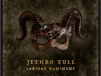 Jethro Tull Curious Ruminant