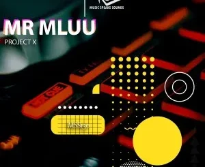 Mr Mluu – Project X