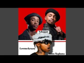Scotts Maphuma, Xduppy & Mellow & Sleazy Sheshisa feat. CowBoii & Lastborn Diroba