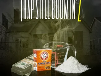 Trap Still Boomin' 2 Various Artists